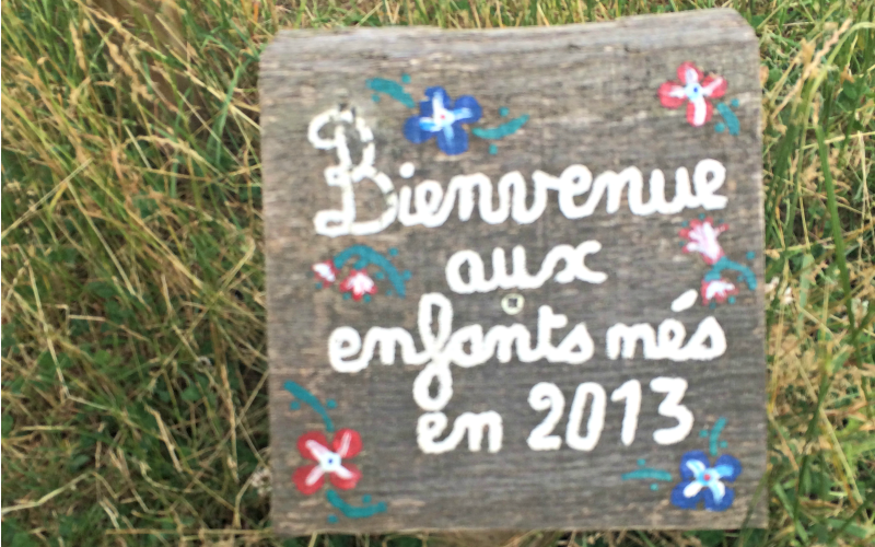 un arbre un nouveau né 2014