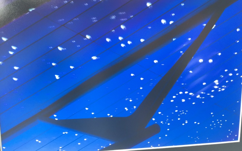 photo concours oeil du hérisson 2015