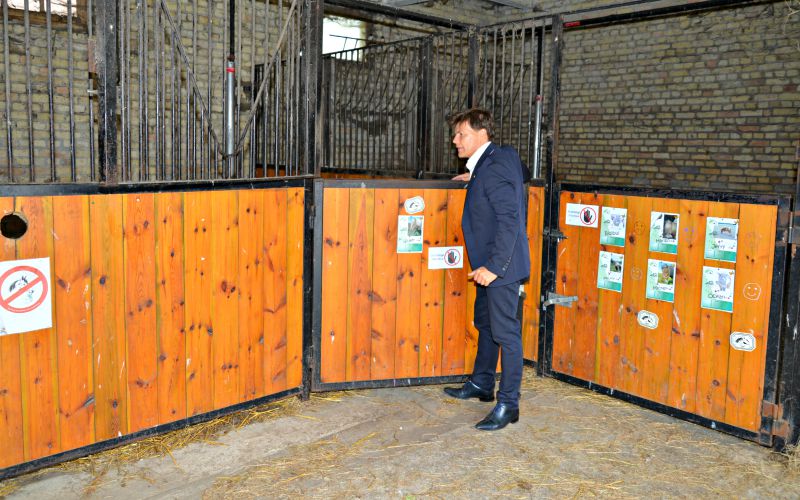 visite des écuries vernaelde 2015