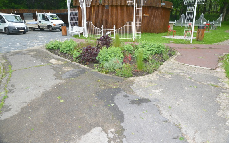 chemin milieu du parc avant rénovation juin 2016