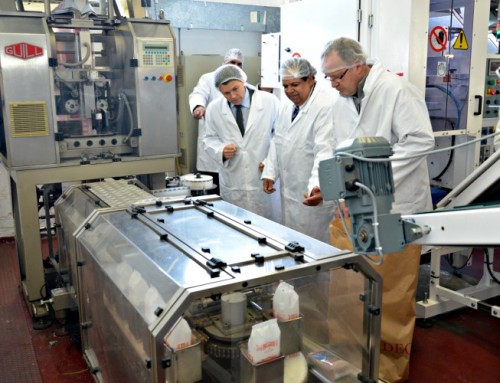 Visite des nouvelles rizerie du nord