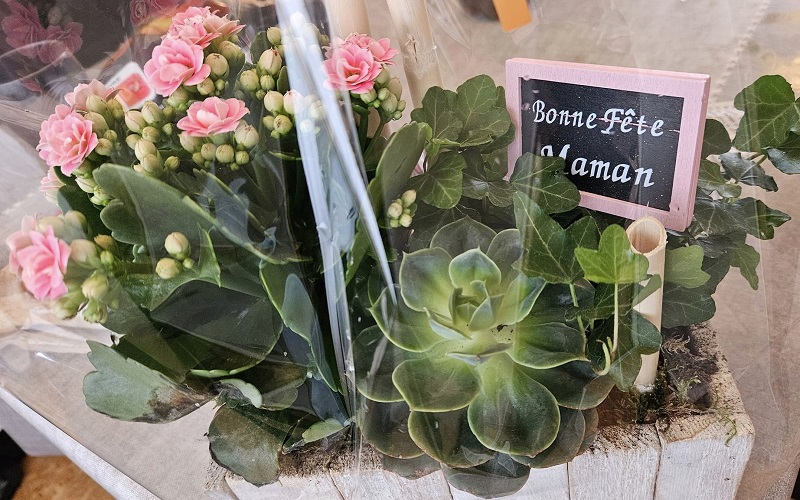 Bonne fête des mères