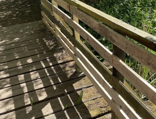 Rénovation des passerelles en bois au parc