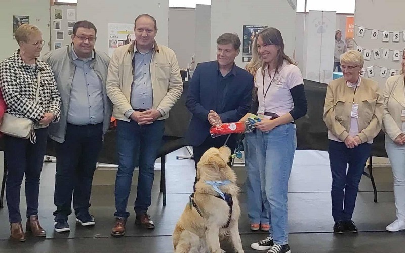 Le Festidog a rencontré un vif succès