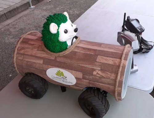 Notre club de voitures radiocommandées a proposé une course de Noël